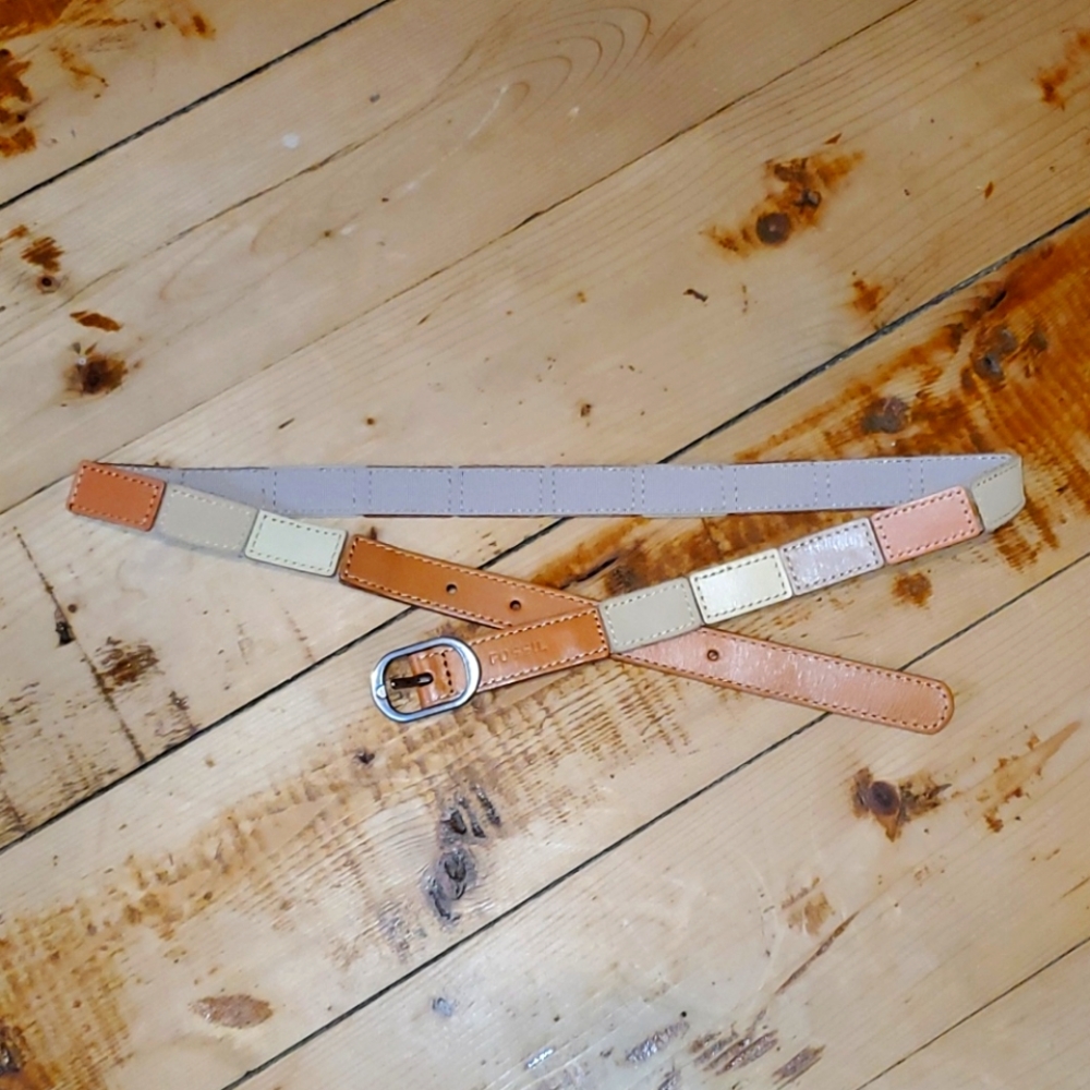 Vintage Fossil Belt
